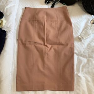 Ann Taylor Pink Pencil Skirt - Size 2